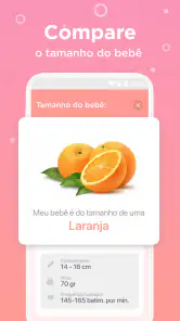 Acompanhar gravidez e gestação screenshot