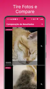 Agenda Capilar e Facial screenshot