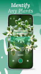 AI Plant Identifier & Care 1
