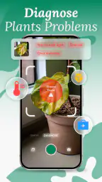 AI Plant Identifier & Care 3