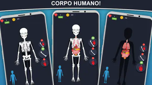 Anato Trivia - Quiz Anatomía 2
