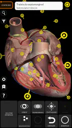 Anatomia - Atlas 3D 3