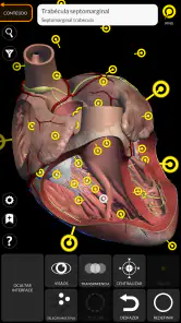Anatomia - Atlas 3D screenshot