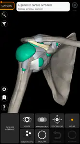Anatomia - Atlas 3D screenshot