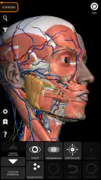 Anatomia - Atlas 3D 6