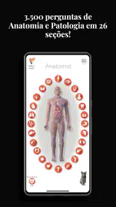 Anatomist - Jogo de Anatomia screenshot