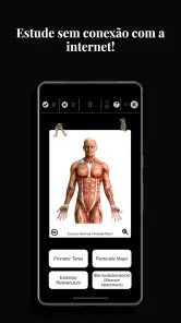 Anatomist - Jogo de Anatomia screenshot