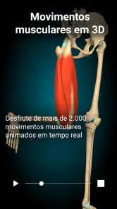 Anatomy Learning - Anatomia 3D screenshot