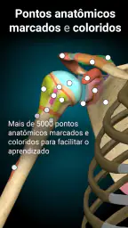Anatomy Learning - Anatomia 3D 3