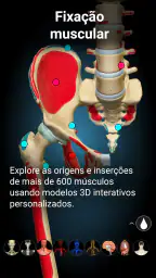 Anatomy Learning - Anatomia 3D 4