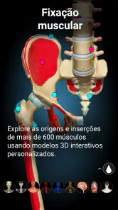 Anatomy Learning - Anatomia 3D screenshot