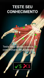 Anatomy Learning - Anatomia 3D 5
