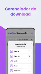Any Video Downloader | SSSTik 3