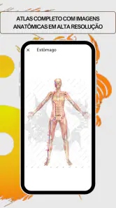 Assistente de Acupuntura screenshot