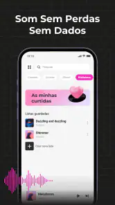 Audio Insight - Música Offline screenshot
