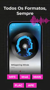 Audio Insight - Música Offline screenshot