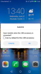 Autolink 1