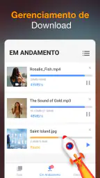 Baixador de Vídeos 4