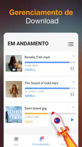 Baixador de Vídeos screenshot