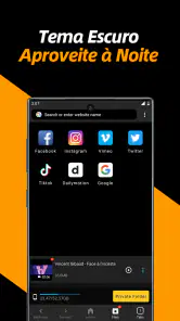 Baixador de Vídeos, Baixador screenshot