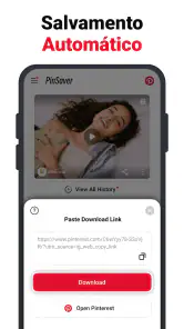 Baixar vídeos para Pinterest screenshot