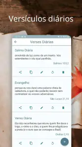 Bíblia Ave Maria screenshot