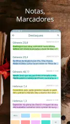 Bíblia Ave Maria 4