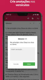 Bíblia da Mulher 4