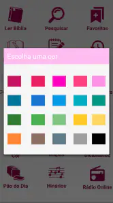 Bíblia Feminina screenshot