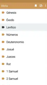 Biblia Israelita screenshot