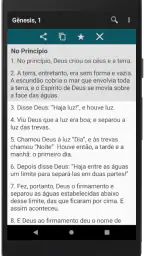 Bíblia King James Atual. - PDV 4