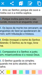 Bíblia Linguagem Atual Offline 2