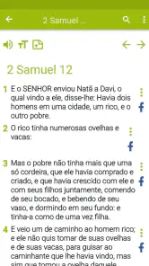 Bíblia Nova Versão screenshot
