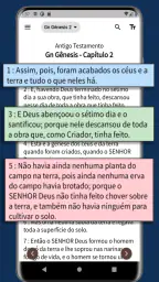 Bíblia Sagrada King James KJA 4