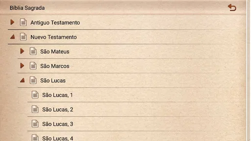 Bíblia Católica Ave Maria 7