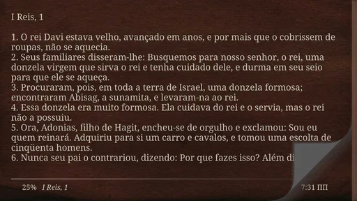 Bíblia Católica Ave Maria 8