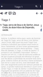 Bíblia Sagrada de Estudo 4