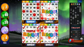 Bingo Absoluto screenshot