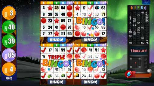 Bingo Absoluto 2