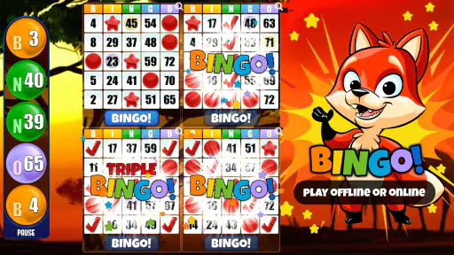 Bingo Absoluto 3