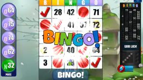 Bingo Absoluto screenshot
