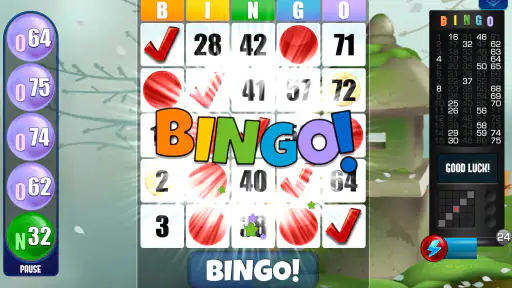 Bingo Absoluto 5