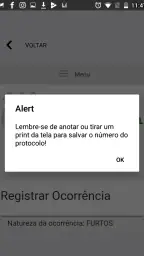 BO: Guia Boletim de ocorrencia 8