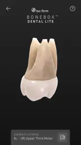 BoneBox™ - Dental Lite screenshot