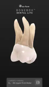 BoneBox™ - Dental Lite screenshot