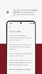 Camicado 4