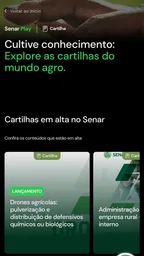 Senar Play 2
