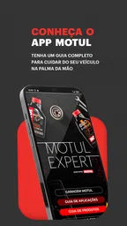 Motul Expert 1