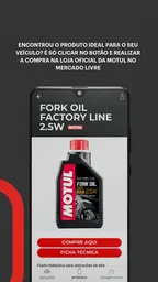 Motul Expert 6