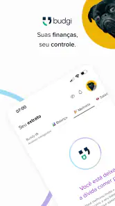 budgi: Finanças com IA screenshot